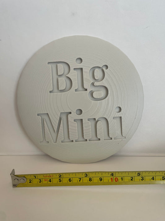 BIG DISC GOLF MINI