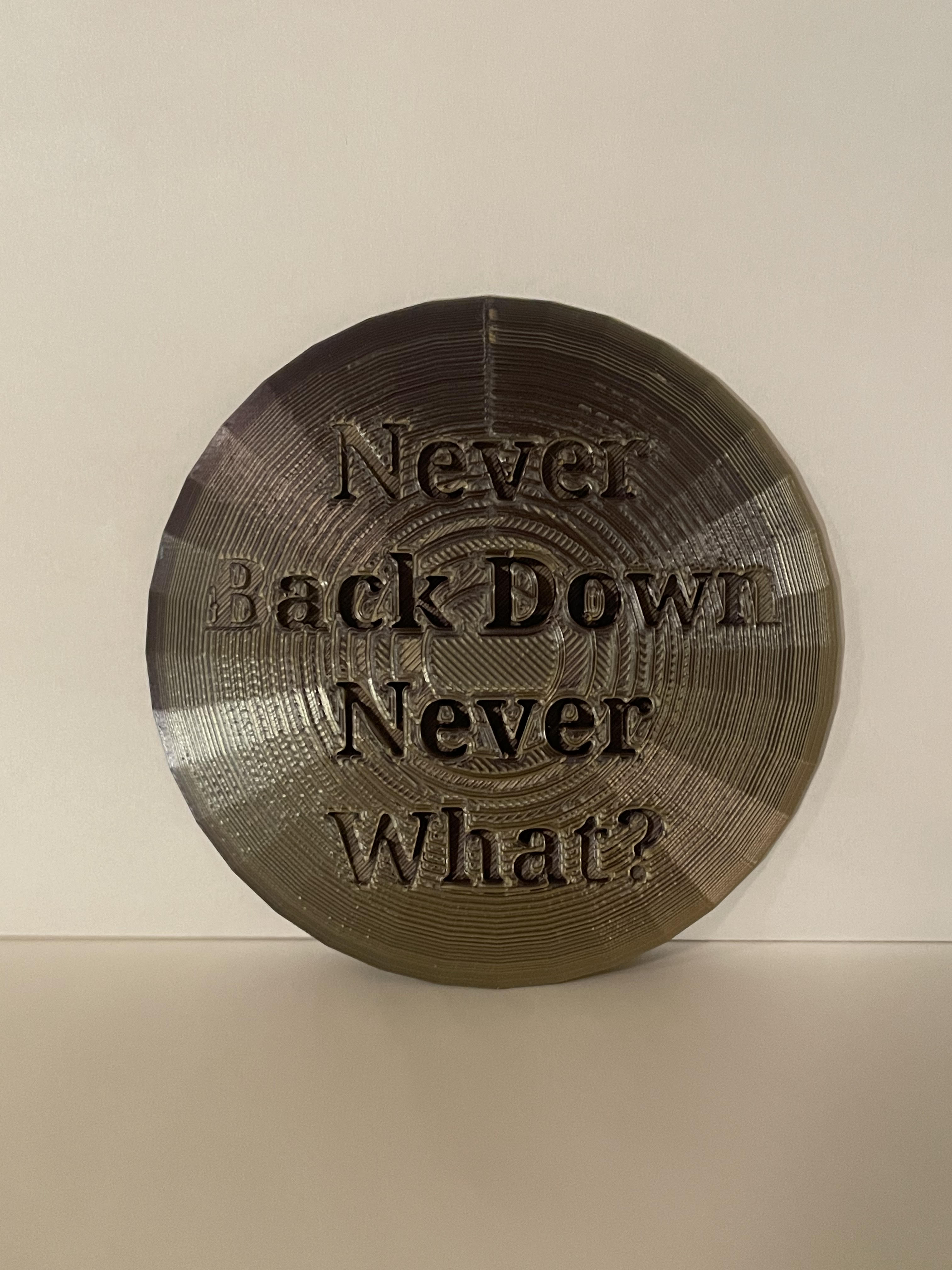 Never Back Down Never What Disc Golf Mini
