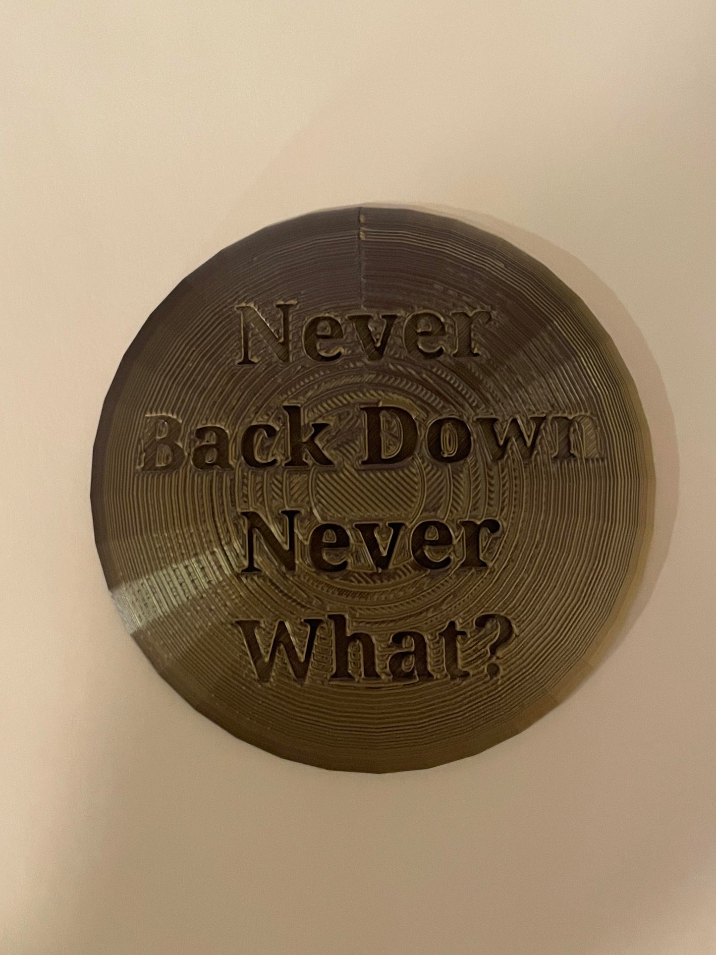 Never Back Down Never What Disc Golf Mini