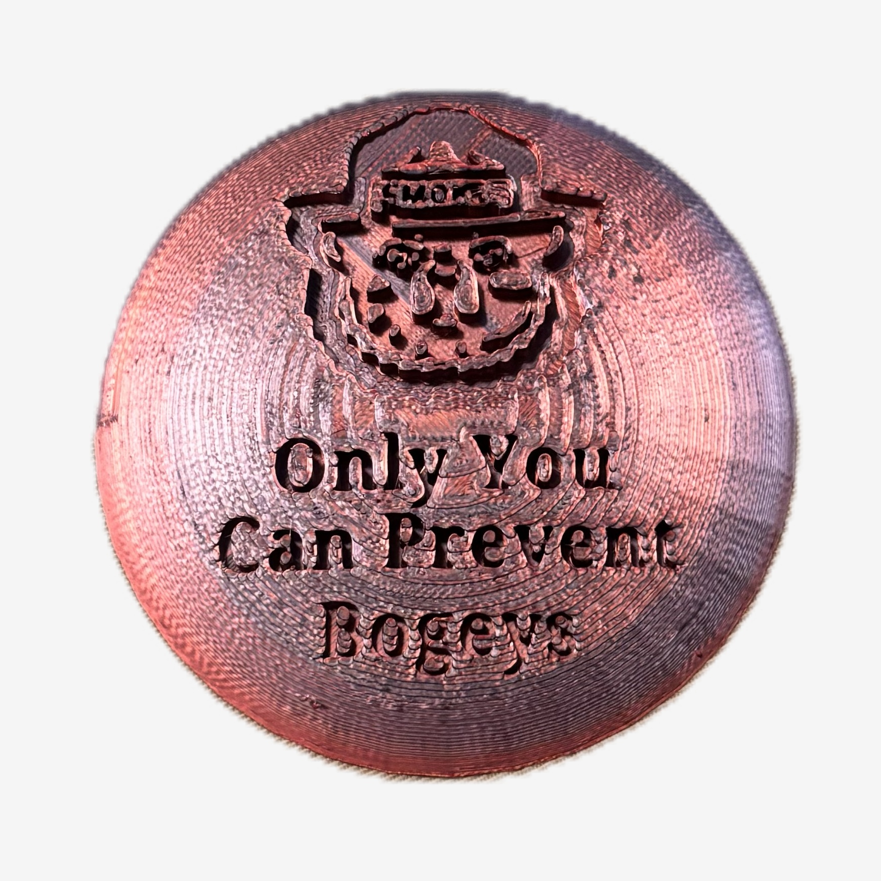 Only You Can Prevent Bogeys Disc Golf Mini